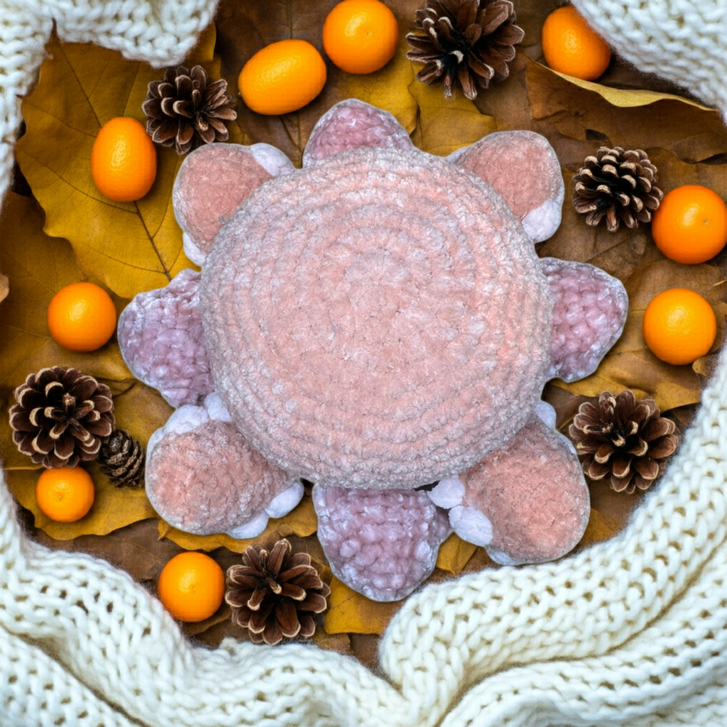Nori the octopus